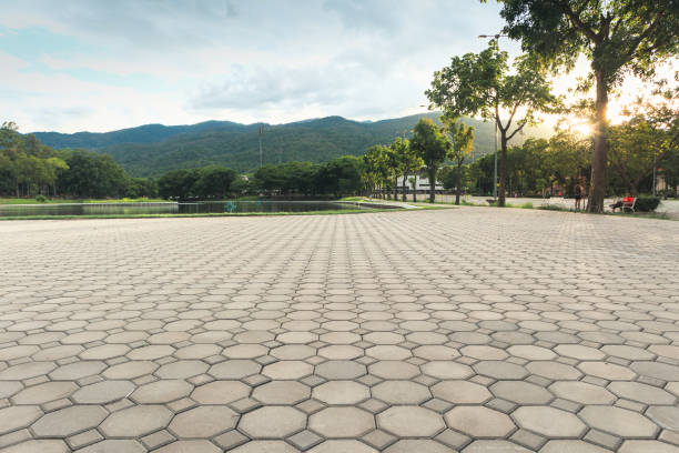 Permeable Paver Driveway in Cedar Springs, MI